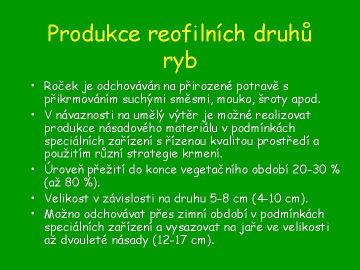 Produkce reofilních druhů ryb • Roček je odchováván na přirozené potravě s přikrmováním suchými