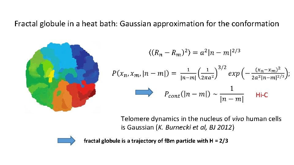 Fractal globule in a heat bath: Gaussian approximation for the conformation Hi-C Telomere dynamics