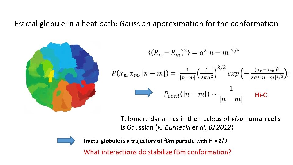 Fractal globule in a heat bath: Gaussian approximation for the conformation Hi-C Telomere dynamics