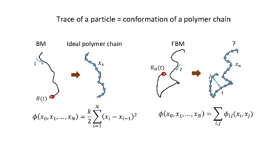 Trace of a particle = conformation of a polymer chain BM Ideal polymer chain