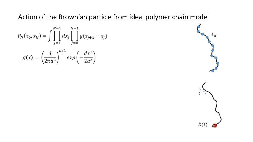 Action of the Brownian particle from ideal polymer chain model 