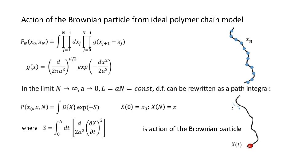 Action of the Brownian particle from ideal polymer chain model where is action of