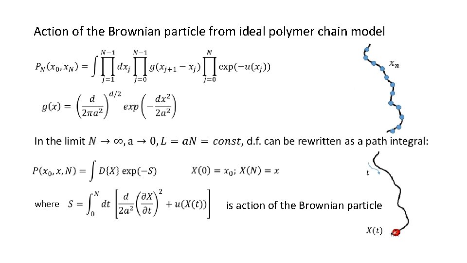 Action of the Brownian particle from ideal polymer chain model where is action of