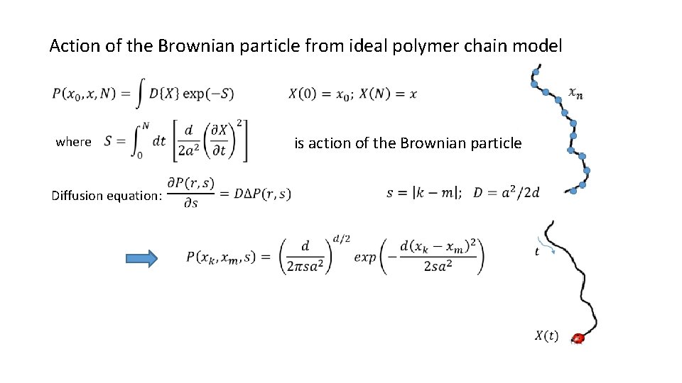 Action of the Brownian particle from ideal polymer chain model where Diffusion equation: is