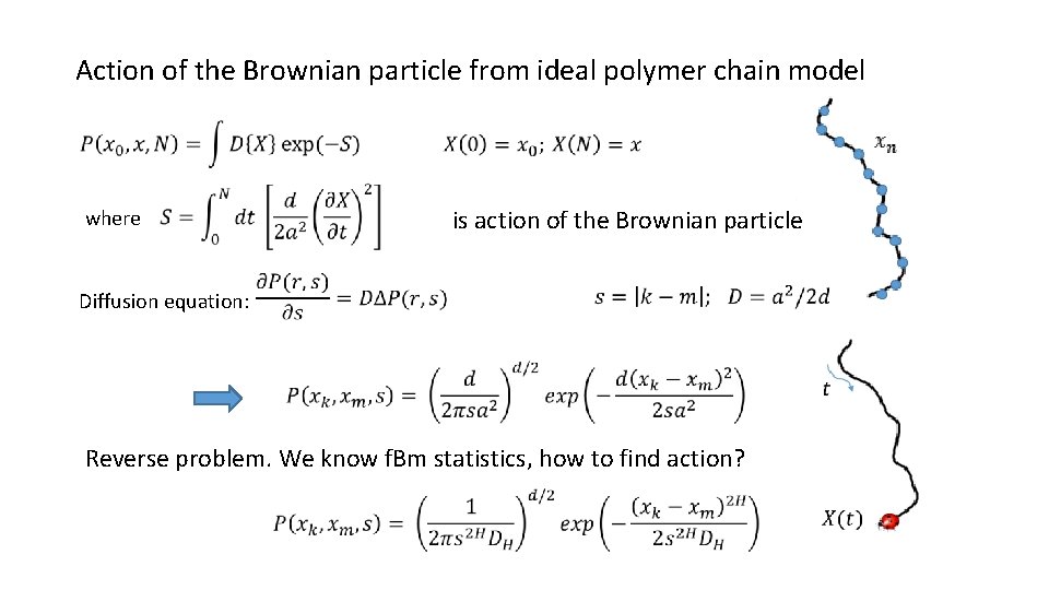 Action of the Brownian particle from ideal polymer chain model where Diffusion equation: is