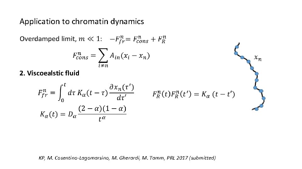 Application to chromatin dynamics 2. Viscoealstic fluid KP, M. Cosentino-Lagomarsino, M. Gherardi, M. Tamm,