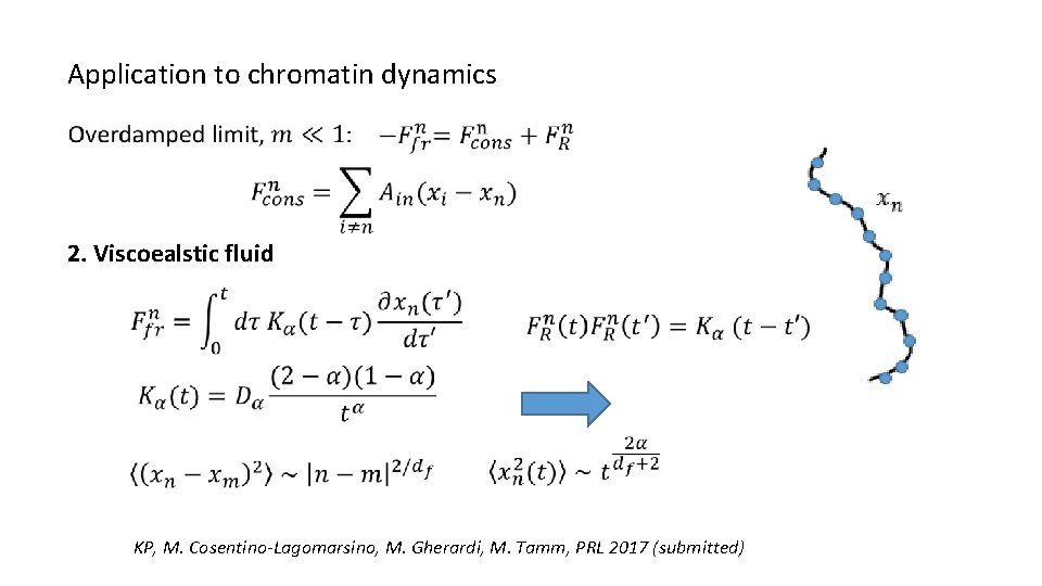 Application to chromatin dynamics 2. Viscoealstic fluid KP, M. Cosentino-Lagomarsino, M. Gherardi, M. Tamm,
