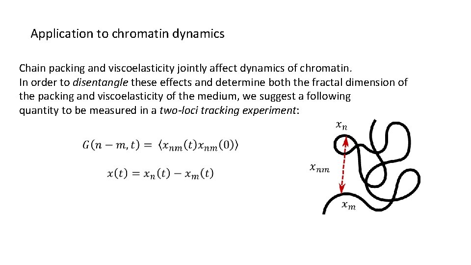 Application to chromatin dynamics Chain packing and viscoelasticity jointly affect dynamics of chromatin. In