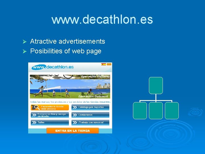 www. decathlon. es Atractive advertisements Ø Posibilities of web page Ø 