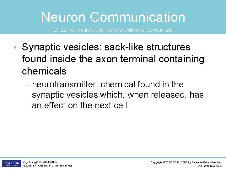 Neuron Communication LO 2. 2 How Neurons Use Neurotransmitters to Communicate • Synaptic vesicles: