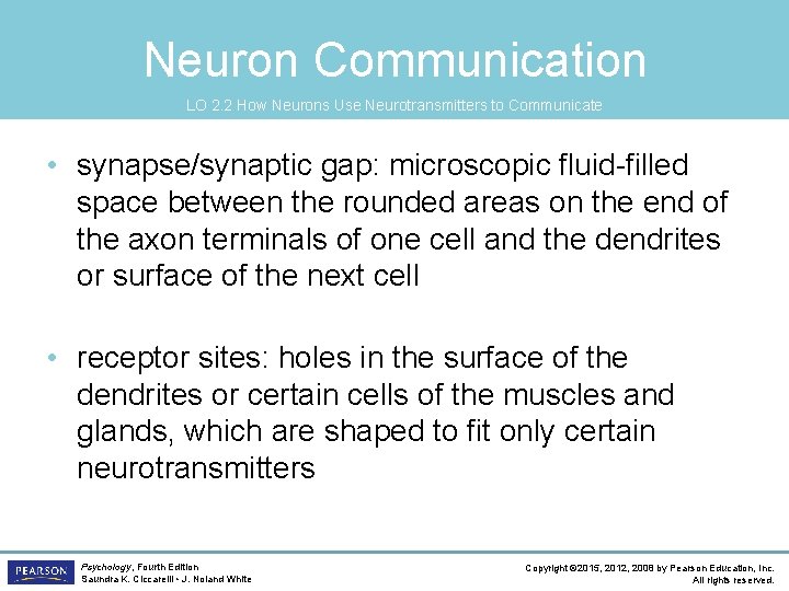 Neuron Communication LO 2. 2 How Neurons Use Neurotransmitters to Communicate • synapse/synaptic gap: