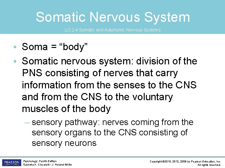 Somatic Nervous System LO 2. 4 Somatic and Autonomic Nervous Systems • Soma =