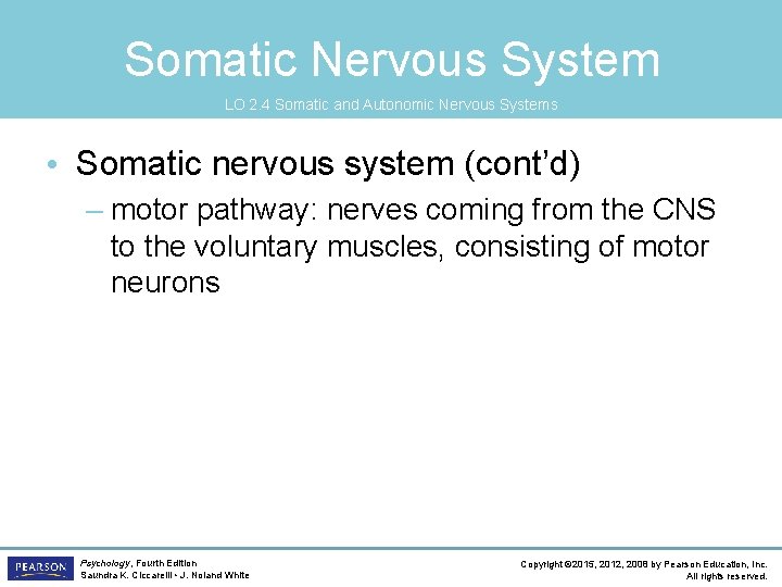Somatic Nervous System LO 2. 4 Somatic and Autonomic Nervous Systems • Somatic nervous