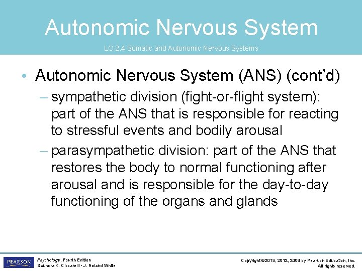 Autonomic Nervous System LO 2. 4 Somatic and Autonomic Nervous Systems • Autonomic Nervous