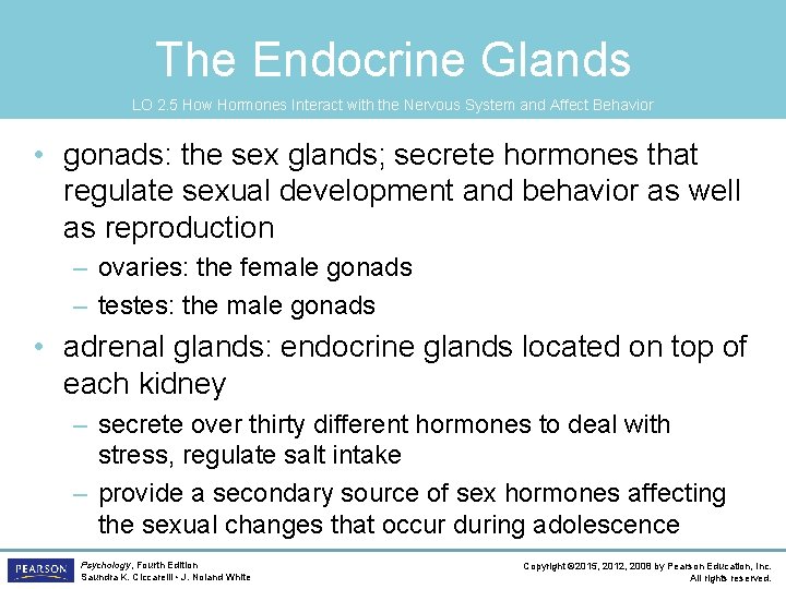 The Endocrine Glands LO 2. 5 How Hormones Interact with the Nervous System and