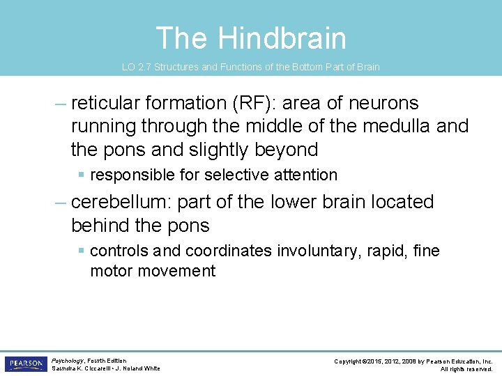 The Hindbrain LO 2. 7 Structures and Functions of the Bottom Part of Brain