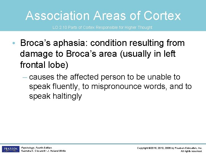 Association Areas of Cortex LO 2. 10 Parts of Cortex Responsible for Higher Thought