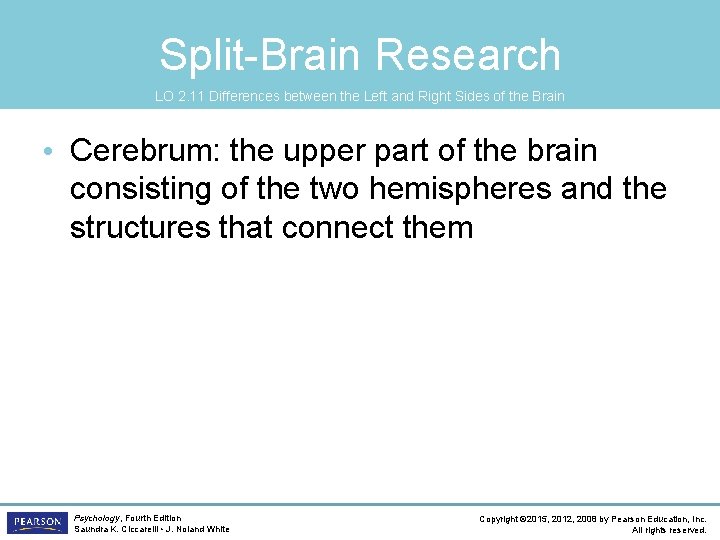 Split-Brain Research LO 2. 11 Differences between the Left and Right Sides of the