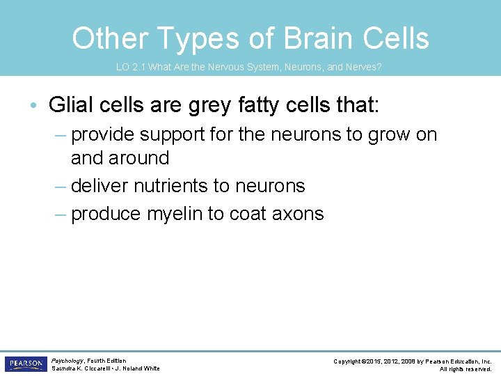 Other Types of Brain Cells LO 2. 1 What Are the Nervous System, Neurons,