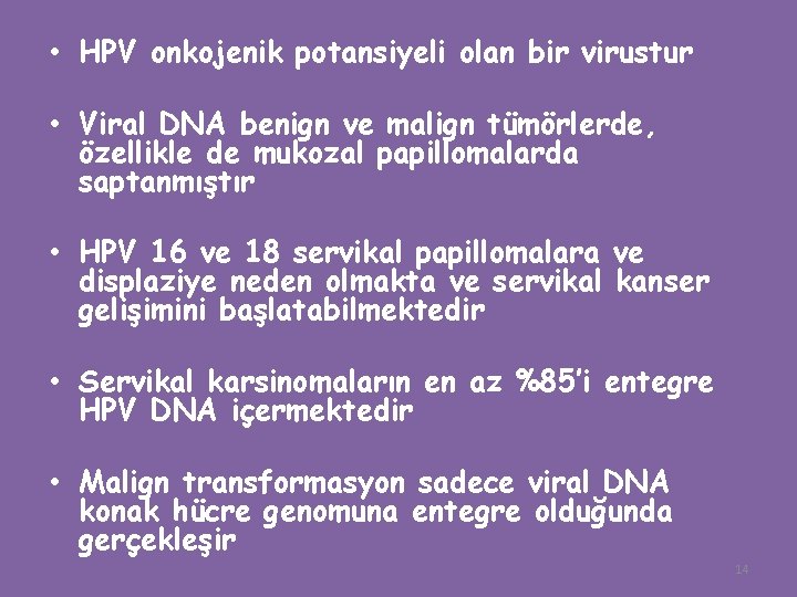  • HPV onkojenik potansiyeli olan bir virustur • Viral DNA benign ve malign