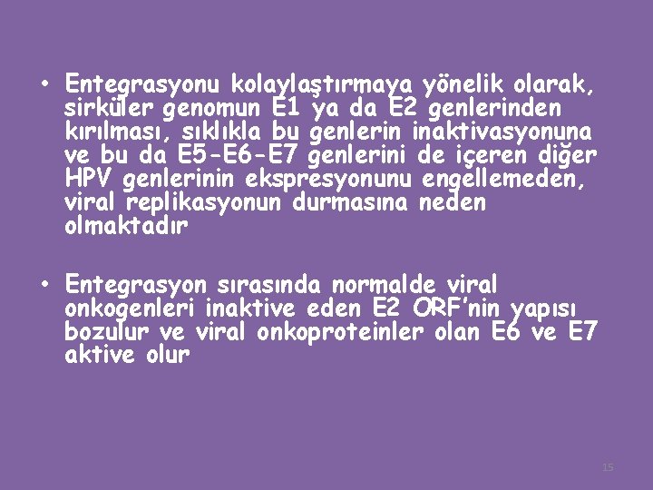  • Entegrasyonu kolaylaştırmaya yönelik olarak, sirküler genomun E 1 ya da E 2