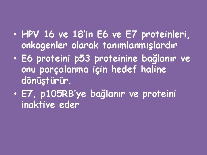  • HPV 16 ve 18’in E 6 ve E 7 proteinleri, onkogenler olarak