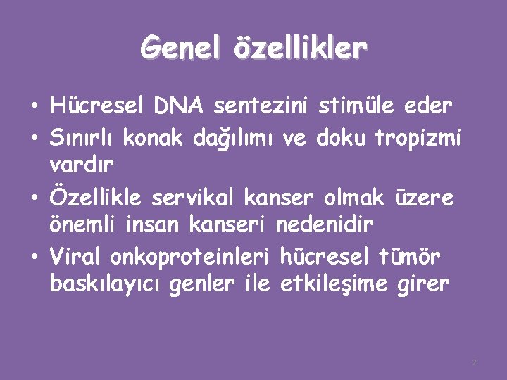 Genel özellikler • Hücresel DNA sentezini stimüle eder • Sınırlı konak dağılımı ve doku