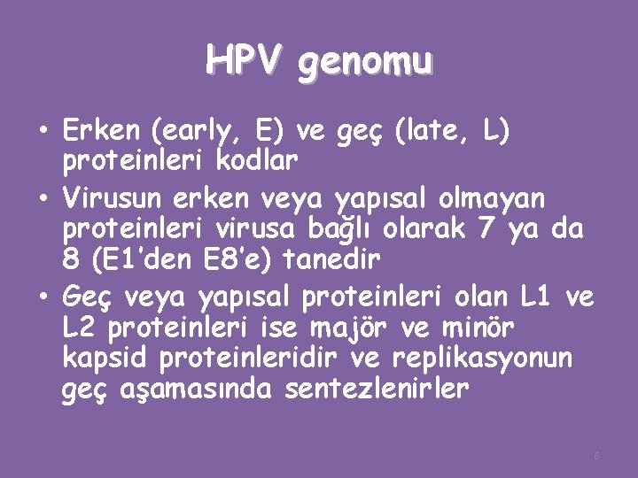 HPV genomu • Erken (early, E) ve geç (late, L) proteinleri kodlar • Virusun