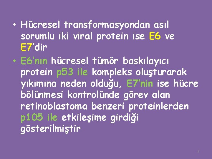  • Hücresel transformasyondan asıl sorumlu iki viral protein ise E 6 ve E