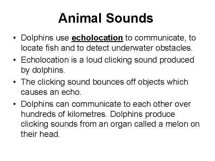 Animal Sounds • Dolphins use echolocation to communicate, to locate fish and to detect