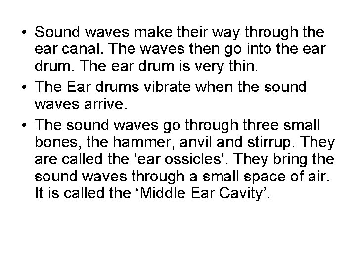  • Sound waves make their way through the ear canal. The waves then