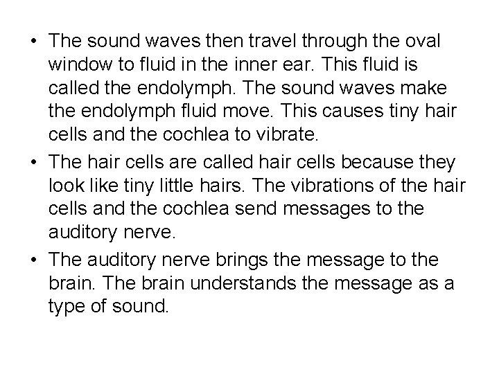  • The sound waves then travel through the oval window to fluid in