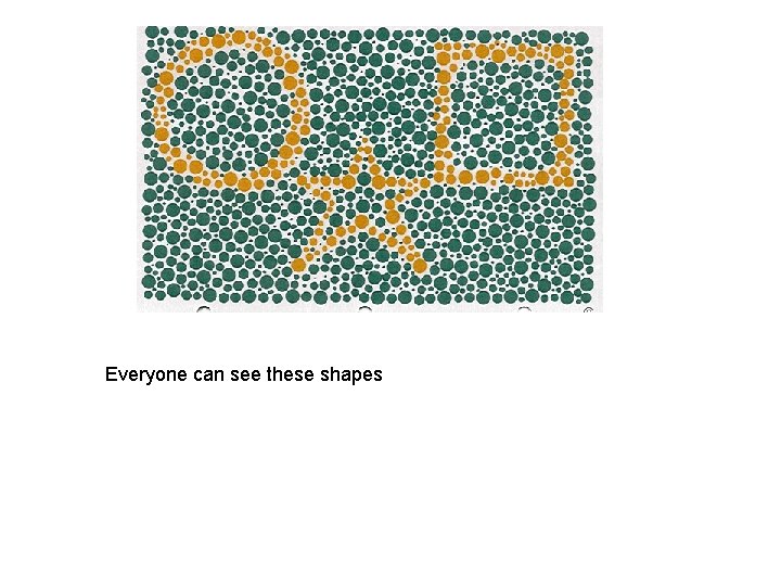 Everyone can see these shapes 