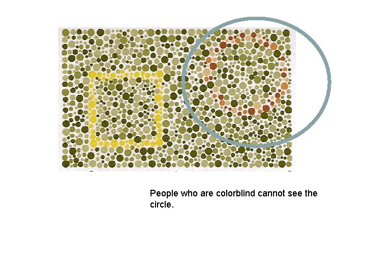 People who are colorblind cannot see the circle. 