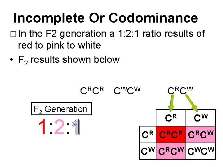 Incomplete Or Codominance � In the F 2 generation a 1: 2: 1 ratio