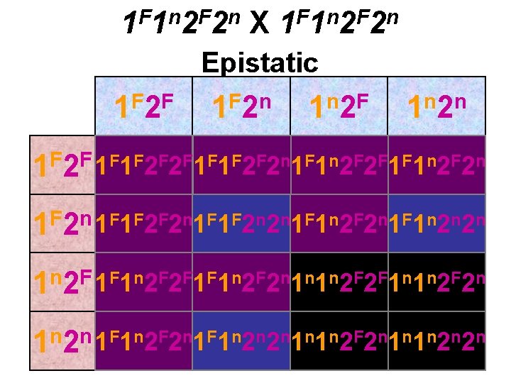 1 F 1 n 2 F 2 n X 1 F 1 n 2