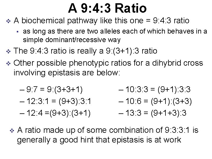 A 9: 4: 3 Ratio v A biochemical pathway like this one = 9: