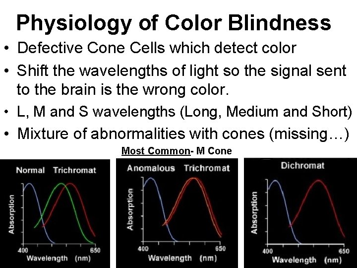 Extensions to Mendel Unit 4 Color Blindness