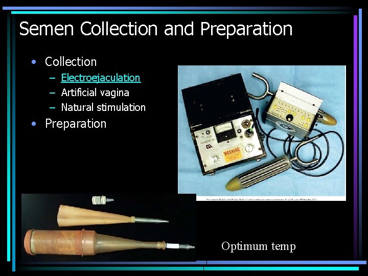 Semen Collection and Preparation • Collection – Electroejaculation – Artificial vagina – Natural stimulation
