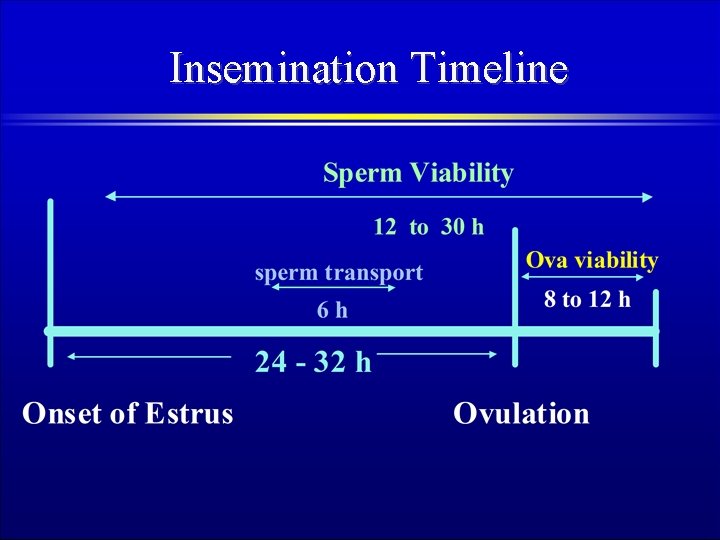 Insemination Timeline 