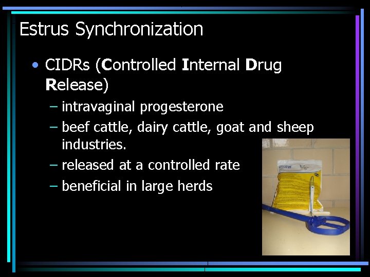 Estrus Synchronization • CIDRs (Controlled Internal Drug Release) – intravaginal progesterone – beef cattle,