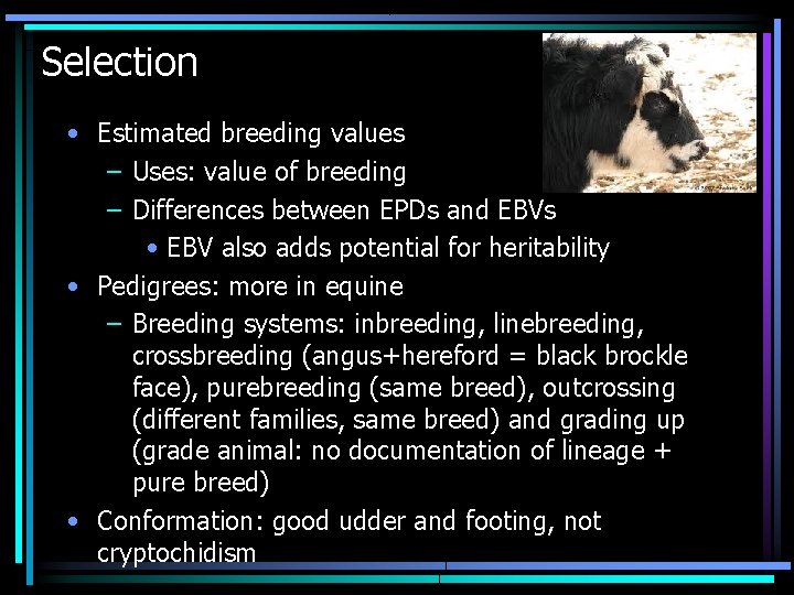 Selection • Estimated breeding values – Uses: value of breeding – Differences between EPDs