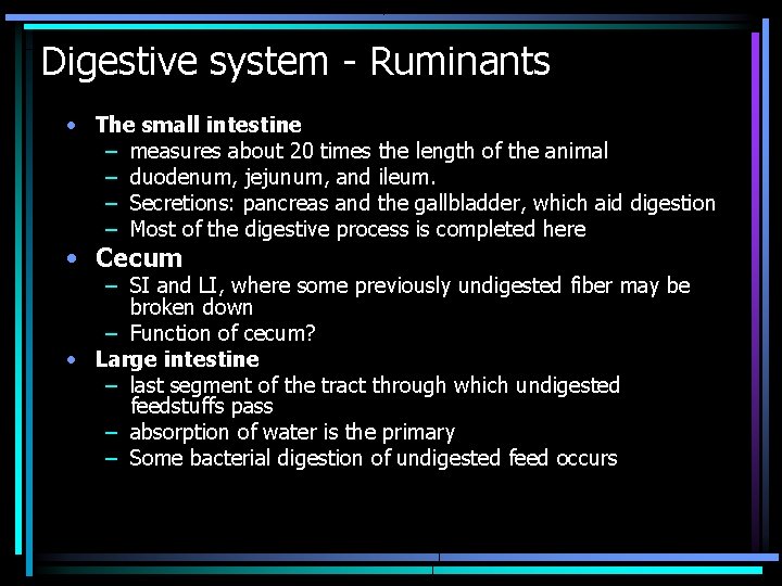 Digestive system - Ruminants • The small intestine – measures about 20 times the