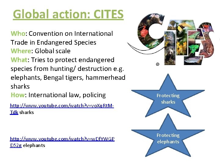 Global action: CITES Who: Convention on International Trade in Endangered Species Where: Global scale