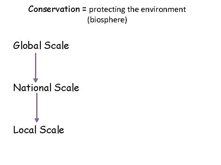 Conservation = protecting the environment (biosphere) Global Scale National Scale Local Scale 