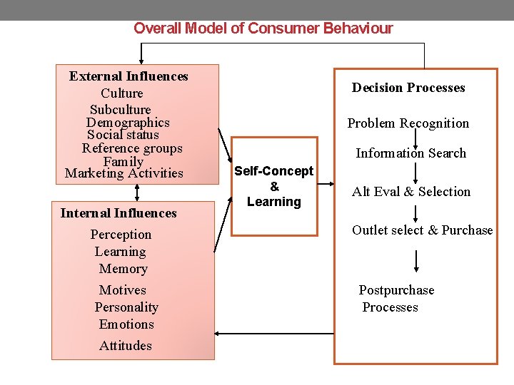 Overall Model of Consumer Behaviour External Influences Culture Subculture Demographics Social status Reference groups