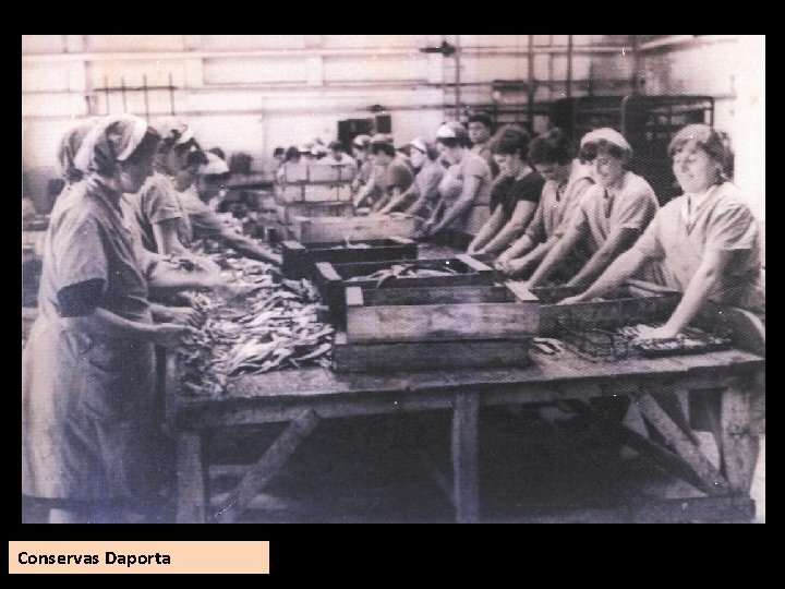 Conservas Daporta 