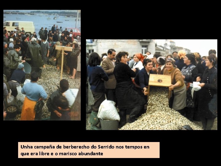 Unha campaña de berberecho do Serrido nos tempos en que era libre e o
