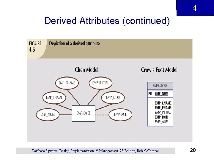 4 Derived Attributes (continued) Database Systems: Design, Implementation, & Management, 7 th Edition, Rob