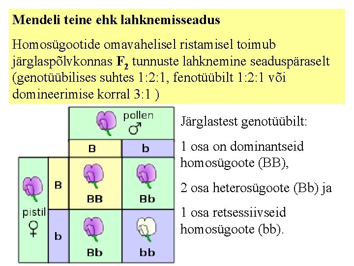 Mendeli teine ehk lahknemisseadus Homosügootide omavahelisel ristamisel toimub järglaspõlvkonnas F 2 tunnuste lahknemine seaduspäraselt